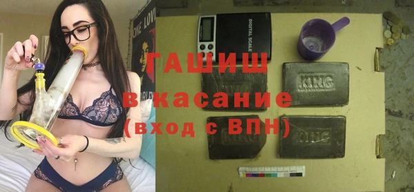 стаф Алзамай