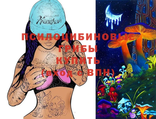 стаф Алзамай