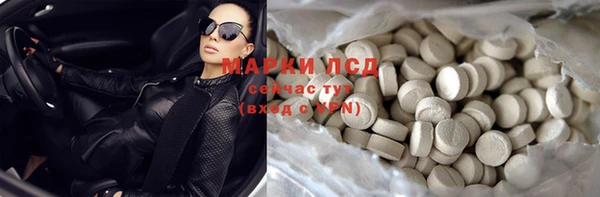 прущие грибы Алексин