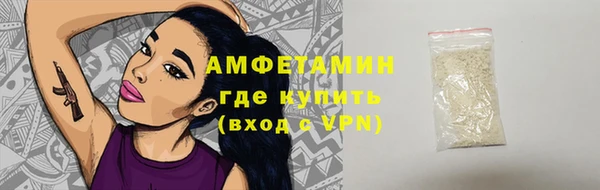 стаф Алзамай