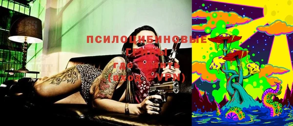 прущие грибы Алексин