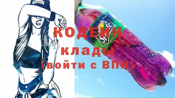 стаф Алзамай