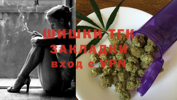 прущие грибы Алексин