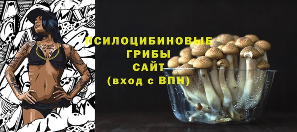 прущие грибы Алексин