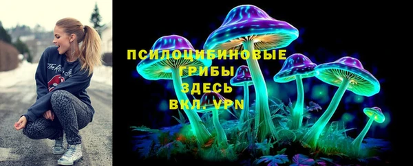 мяу мяу мука Алексеевка