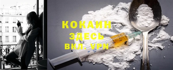 прущие грибы Алексин
